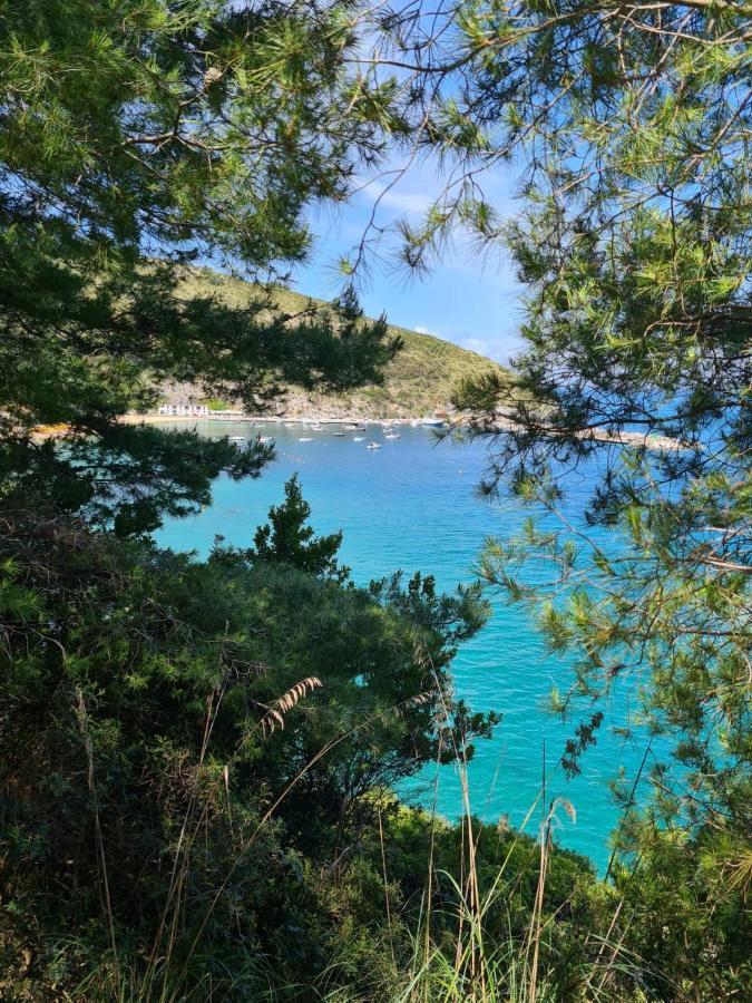 B&B La Marinella Palinuro Dış mekan fotoğraf