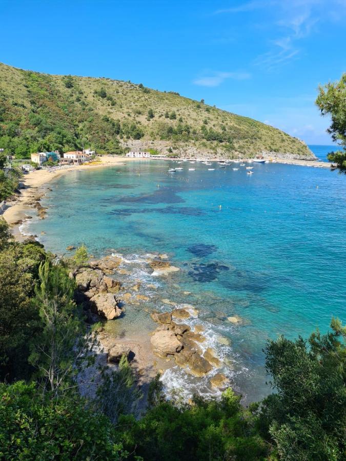 B&B La Marinella Palinuro Dış mekan fotoğraf