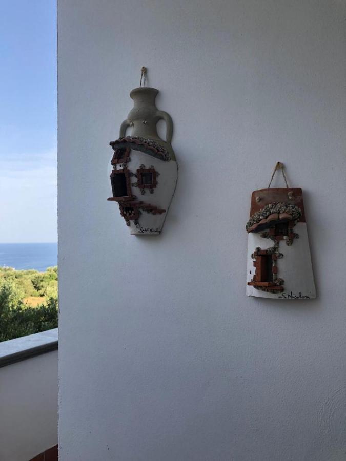 B&B La Marinella Palinuro Dış mekan fotoğraf